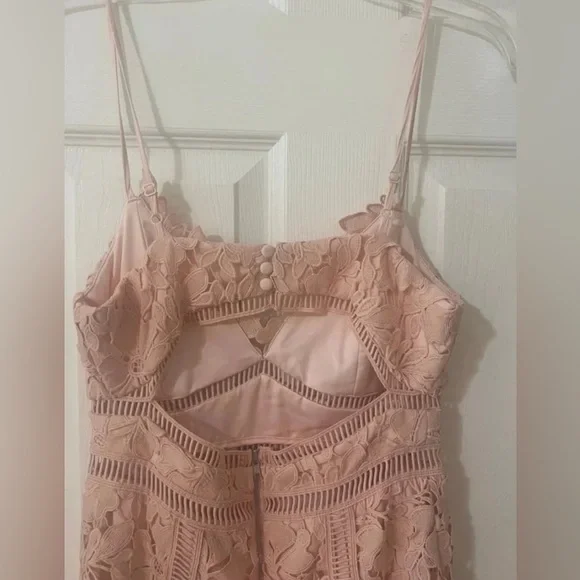 NWT BARDOT BOTANICA LACE DRESS IN SOFT LIGHT PINK - Picture 4 of 9